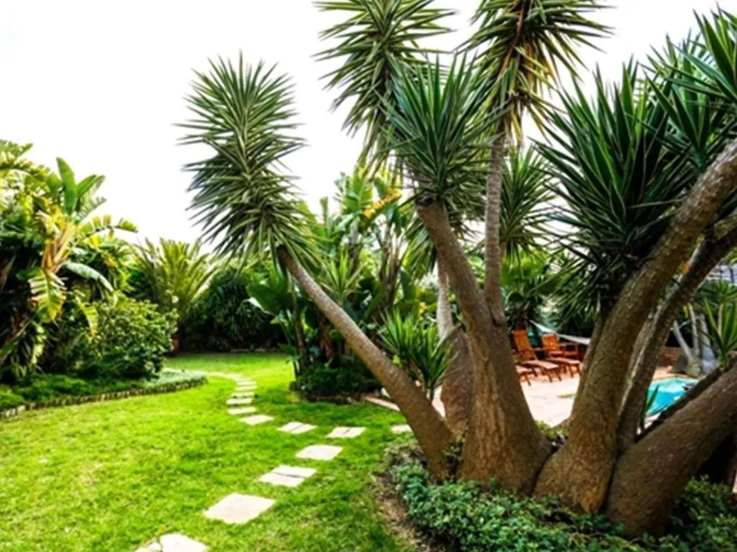 Guest house Secret Garden Guesthouse Bloubergstrand